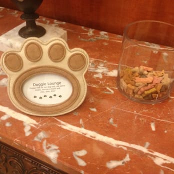 Hotel Providence - Dogs welcome - Hotels Near Me - Providence, Rhode Island Hotel Providence - Dogs welcome - Hotels Near Me - Providence, Rhode Island