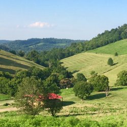 Peaceful Pastures