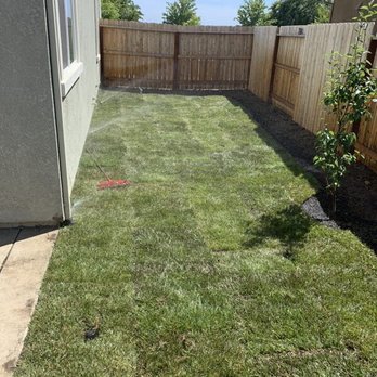 SD Professional Landscaping Services - Grass - Landscape Architects or Designers Near Me SD Professional Landscaping Services - Grass - Landscape Architects or Designers Near Me