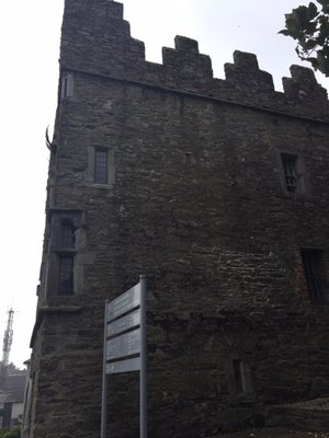 Desmond Castle by null