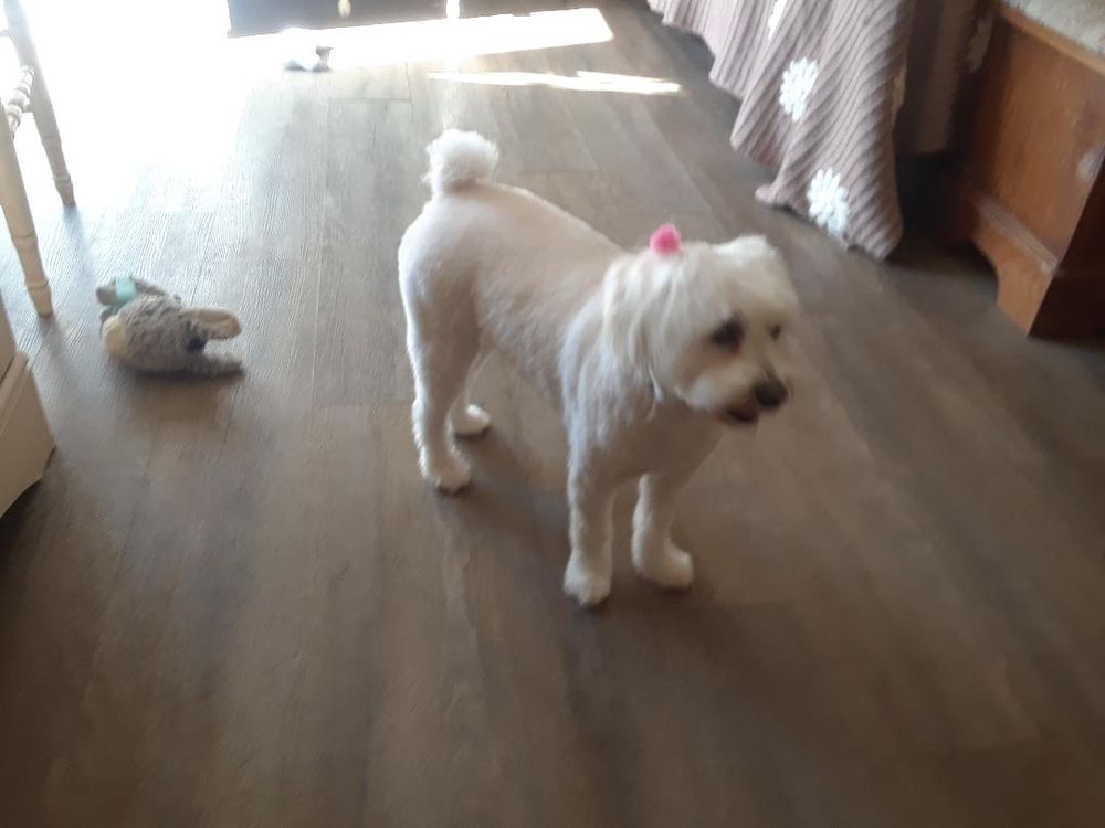 BONES BATH AND BEYOND Updated September 2024 5020 Sunrise Hwy, Massapequa Park, New York