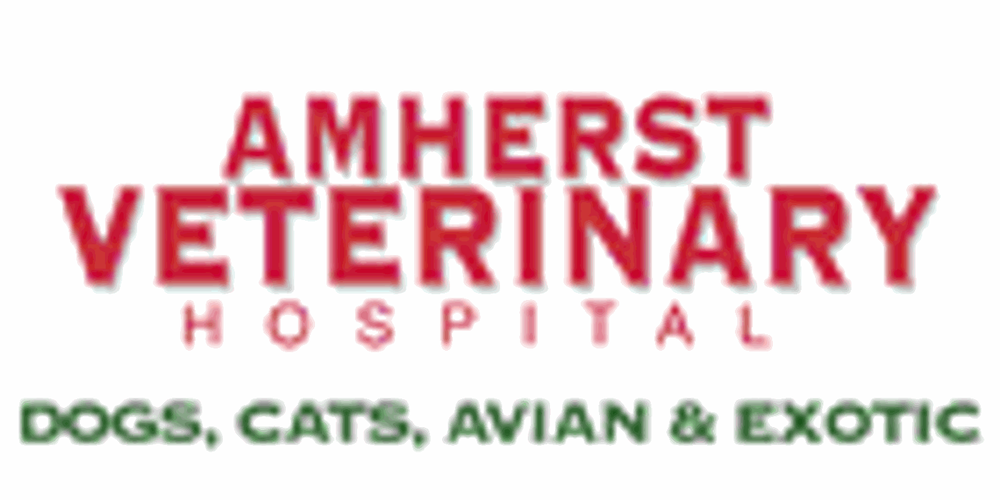 AMHERST VETERINARY HOSPITAL Updated September 2024 3206 Eglinton