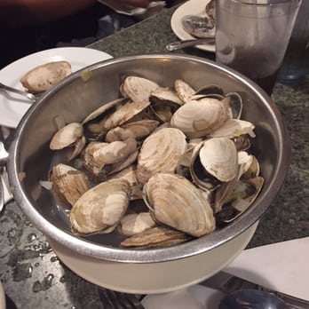 The Causeway Restaurant - Huge bowl of steamers, or if your local steamahs. - Seafood Near Me - Gloucester, Massachusetts The Causeway Restaurant - Huge bowl of steamers, or if your local steamahs. - Seafood Near Me - Gloucester, Massachusetts