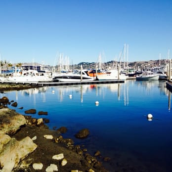 Fish - View from patio - Seafood Near Me - Sausalito, California