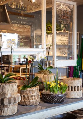 Sonoma Country Antiques by null