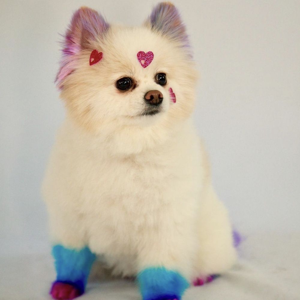 MY PET GARDEN - Updated May 2025 - 274 Photos & 489 Reviews - 2245 E  Colorado Blvd, Pasadena, California - Pet Stores - Phone Number - Services  - Yelp