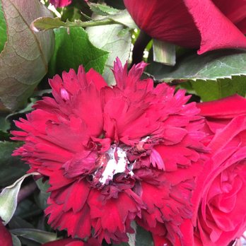 Lily's Flowers - Florists Near Me - Santa Barbara, California Lily's Flowers - Florists Near Me - Santa Barbara, California