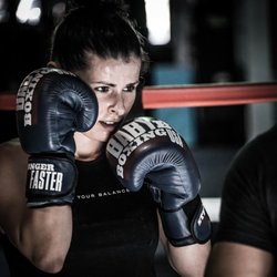 Baby Bull Boxing