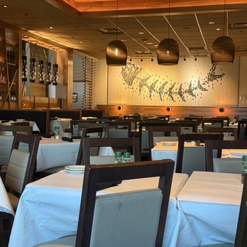 Bonefish Grill - Love the fish art on wall - Seafood Near Me - Allen, Texas Bonefish Grill - Love the fish art on wall - Seafood Near Me - Allen, Texas