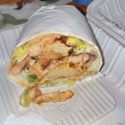 Chicken/chicken Gyoza Burrito
