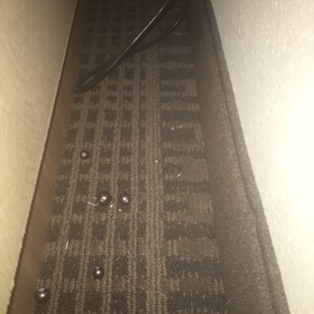 Radisson Hotel - Chatsworth - Broken fake pearl necklace found in our room - Hotels Near Me - Chatsworth, California