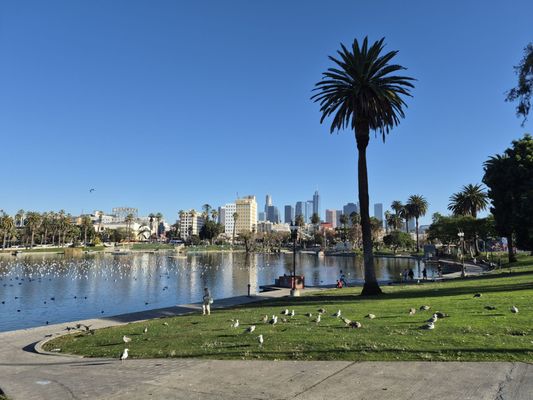 Peace Awareness Labyrinth and Gardens by null