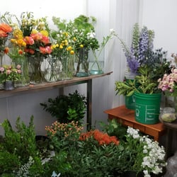 Willem and Jools Flowers - Walk-in fridge