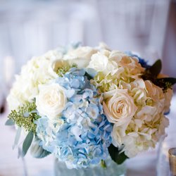 Botanicals Floral Art