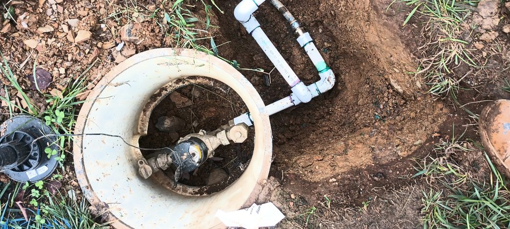 Slide of Rain Forrest irrigation