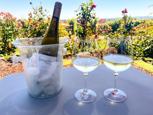 Stangeland Vineyards & Winery by null