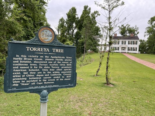 Torreya State Park by null