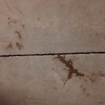 Cactus Self Storage - More Termites damage!!! - Self Storage Near Me - Glendale, Arizona Cactus Self Storage - More Termites damage!!! - Self Storage Near Me - Glendale, Arizona