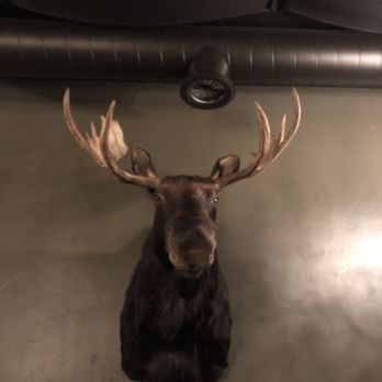 Craft Lounge - Maurice the moose - Lounges Near Me - Nampa, Idaho