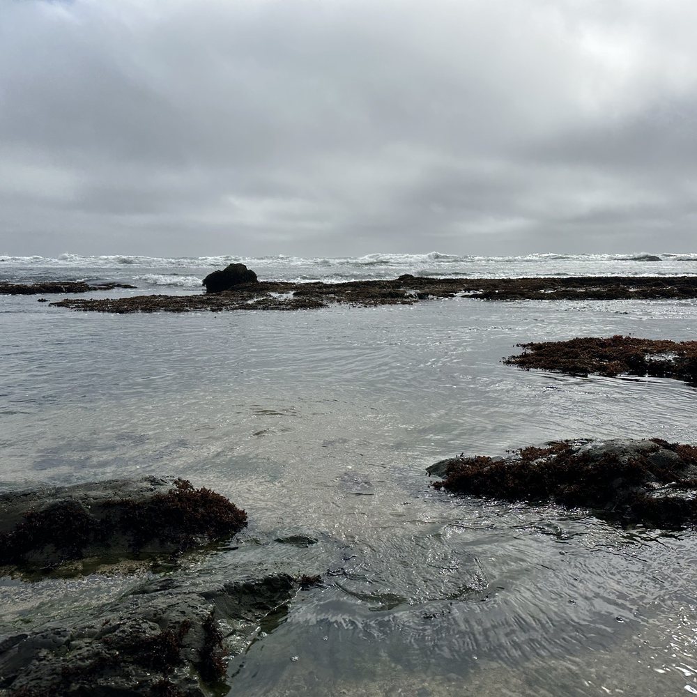 Fitzgerald Marine Reserve - Tide pools - Parks Near Me - Moss Beach, California