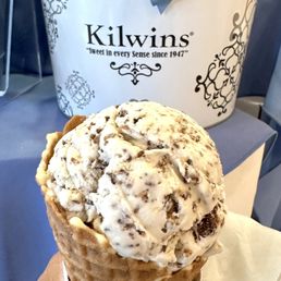Toasted Coconut Ice Cream