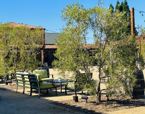 Bacchus Landing by null