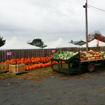 Shady Brook Farm - Farmers Market Near Me - Yardley, Pennsylvania Shady Brook Farm - Farmers Market Near Me - Yardley, Pennsylvania