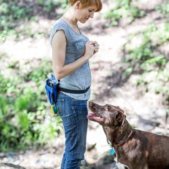 Gentle Touch Pet Care - Pet Training Near Me Gentle Touch Pet Care - Pet Training Near Me