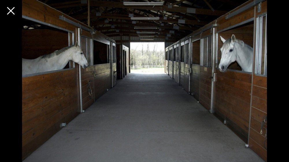 Briarwood Farm - equestrian in Burlington, KY