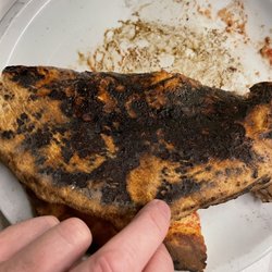 Bella Napoli Pizzeria - Pizza burned