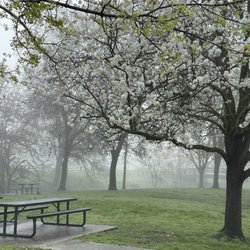 Howe Community Park - Near the pond