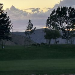 Gladstan Golf Course - Beautiful views