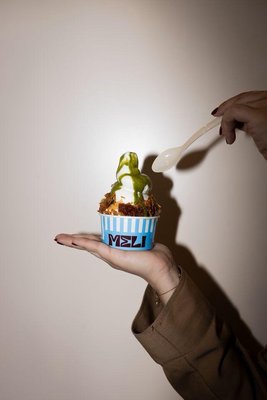 MELI Frozen Yogurt by null