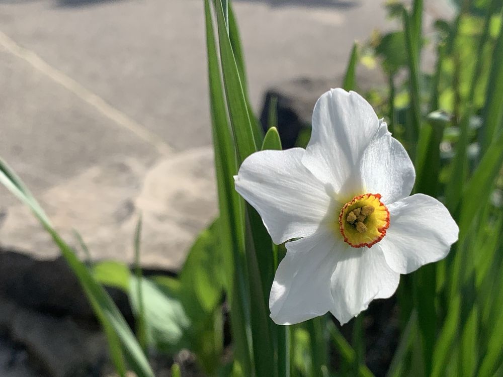 Blendon Woods Metro Park