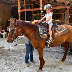 Hidden Gem Stables