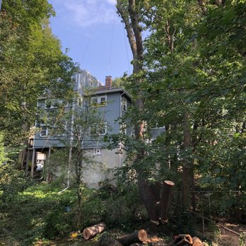 Specialized Rigging and Tree Care - Tree Services Near Me