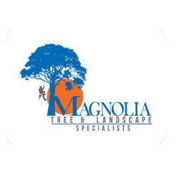 Magnolia Tree & Landscape Specialist