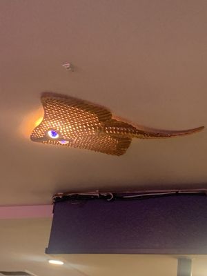 Shucker's Oyster Bar by null