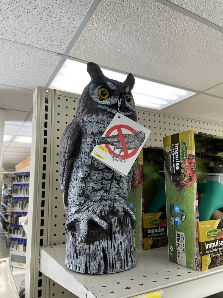 WOODSTOWN ICE & COAL Updated August 2024 50 E Grant St, Woodstown