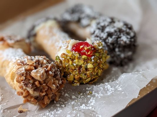 Kelly Cannoli by null