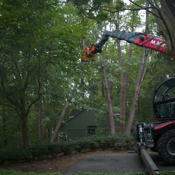 Empire Tree Services - Tree Services Near Me - Mechanicsville, Maryland Empire Tree Services - Tree Services Near Me - Mechanicsville, Maryland