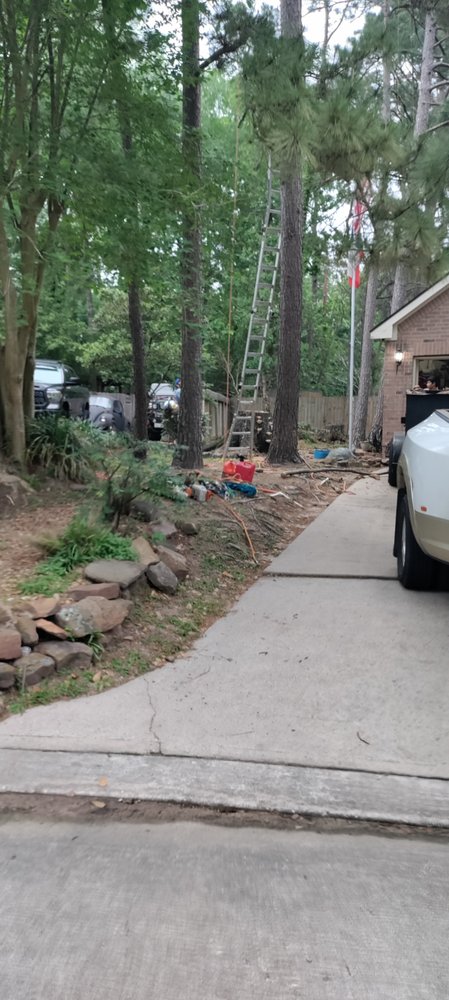 Slide of Green Shield and The Sword