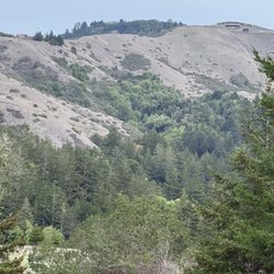 La Honda Creek Open Space Preserve