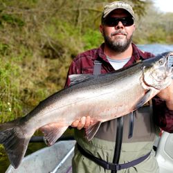 Olympic Peninsula Guide Service