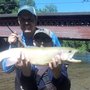 Photo of Youngs Fly Fishing