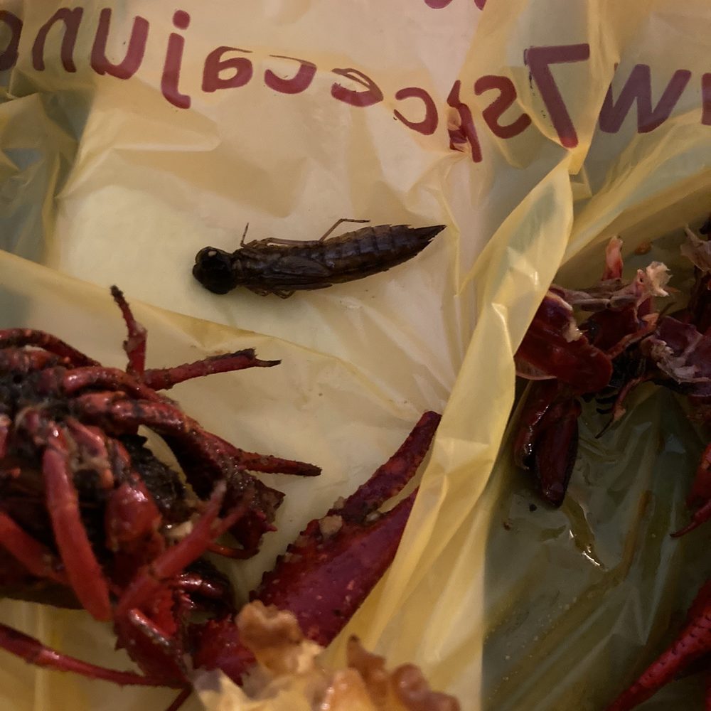 7Spice - Seafood Near Me - Houston, Texas