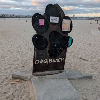 Ocean Beach Dog Beach - Beaches Near Me - San Diego, California Ocean Beach Dog Beach - Beaches Near Me - San Diego, California