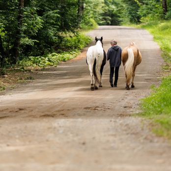 Whispering Woods Stables - Counseling & Mental Health Near Me - Augusta, Maine Whispering Woods Stables - Counseling & Mental Health Near Me - Augusta, Maine