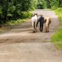 Whispering Woods Stables