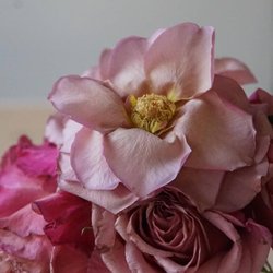 Russian River Flower School